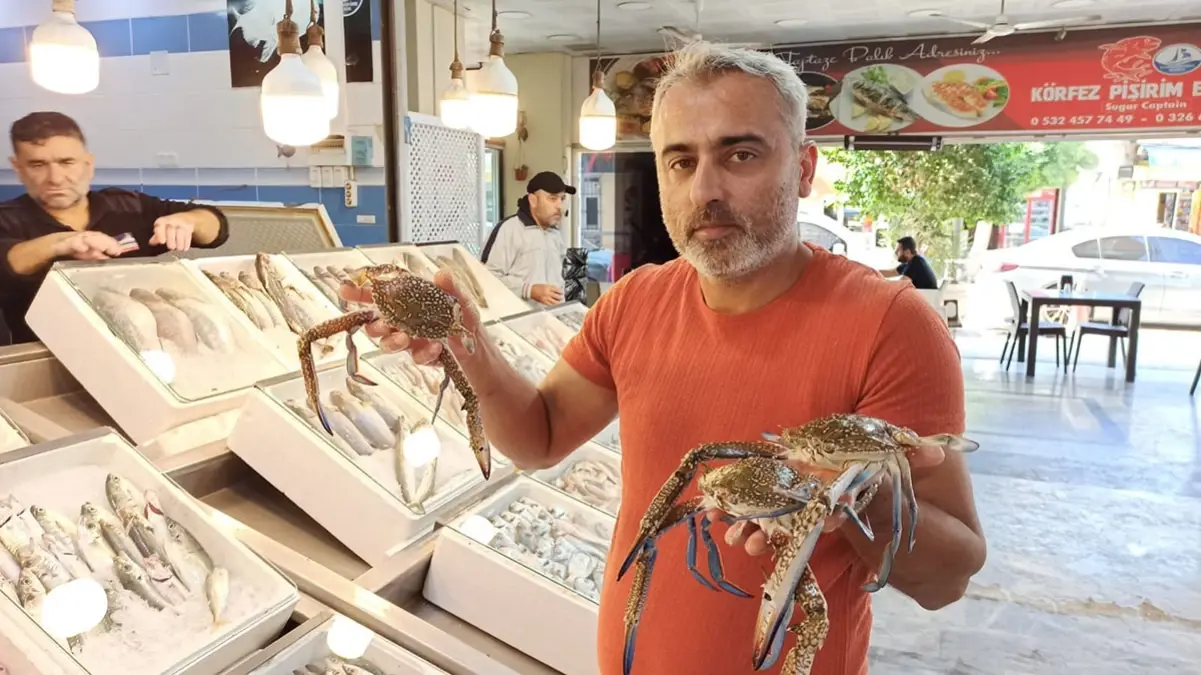 iskenderunda jumbo karides fiyatlari dusuyor 1WV7LP2B.jpg