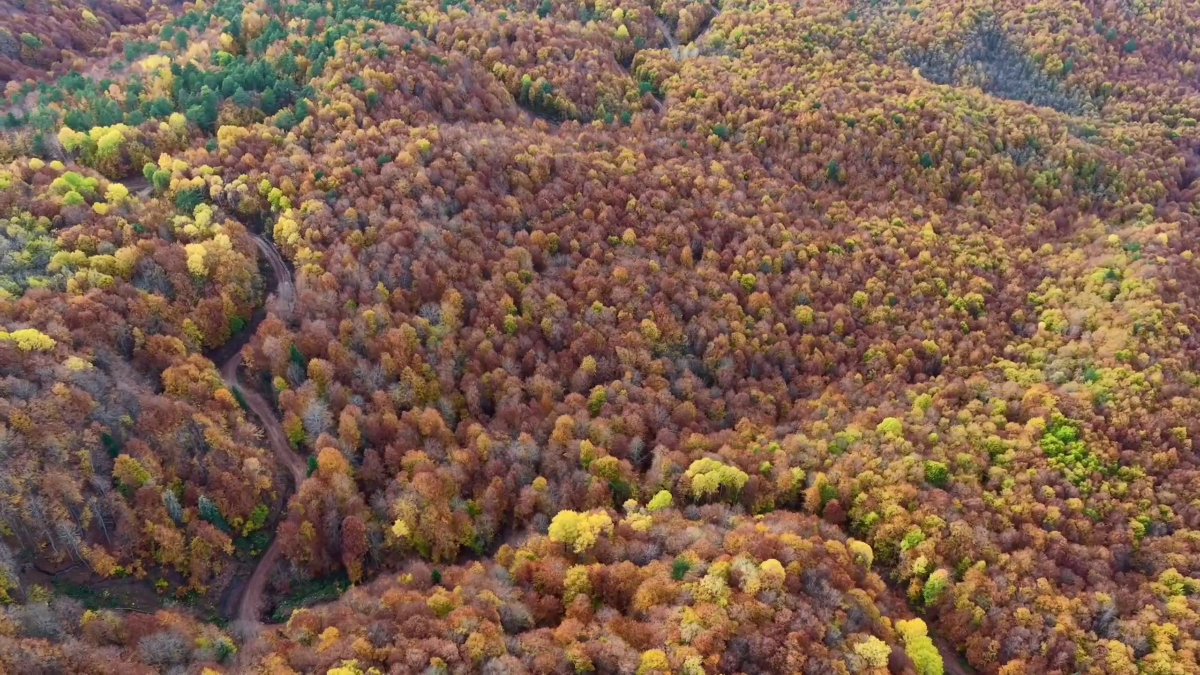 bolu mengende sonbahar guzelligi g7pPu1rj.jpg