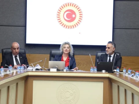 Suça Karışan Gençler İçin Etkili Çözüm Stratejileri