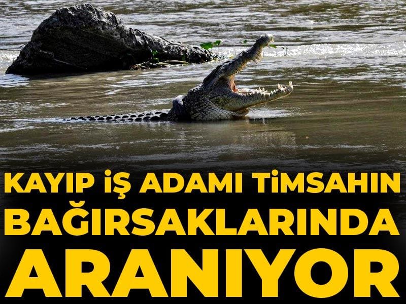 Kayıp İş Adamının İzleri Timsahın Bağırsaklarında Bulundu